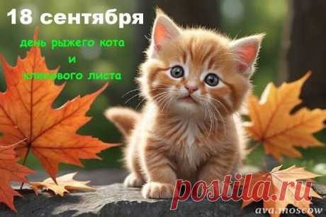 i (576×384)