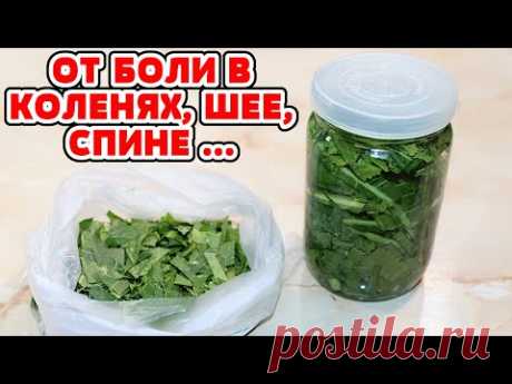Настойка ХРЕНА лечит боль в Суставах, Мышцах, Ангину, Кашель, Простуду, Остеохондроз