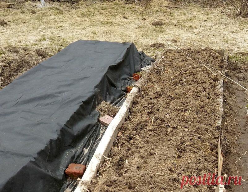 Рассказываю про изготовление теплой грядки осенью. Особенности разных конструкций и мой проверенный способ
Устройство теплых грядок — дело трудоемкое и кропотливое. Обычно такие гряды изготавливают...
Читай пост далее на сайте. Жми ⏫ссылку выше