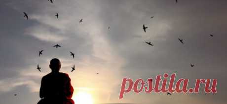 БЕРЕГИТЕ ДУШЕВНОЕ СПОКОЙСТВИЕ! НИКОГДА НИ О ЧЕМ НЕ СОЖАЛЕЙТЕ
7 замечательных истин для Вашей гармонии! Не вмешивайтесь в чужие дела. Большинство из нас создаёт себе проблемы тем, что слишком часто вмешивается в чужие дела. Мы делаем это, так как убеждены, что поступаем наилучшим образом, и что наша логика единственно правильная. В результате мы критикуем тех, кто с нами не согласен и пытаемся наставить их […]
Читай пост далее на сайте. Жми ⏫ссылку выше