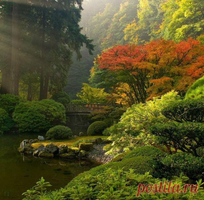 Мой Мир@Mail.Ru