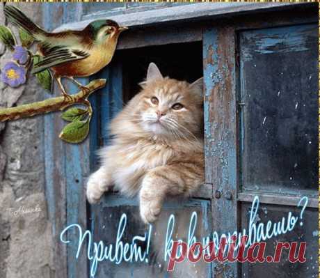Интересные новости