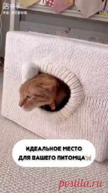 Идеальный домик для вашего питомца! Единственный нормальный лайфхак  😁  #вязание  • #кот