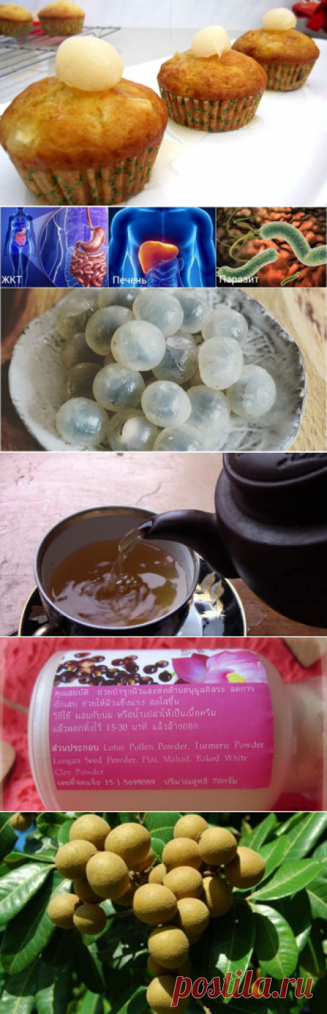 Лонган фрукт полезные свойства и противопоказания