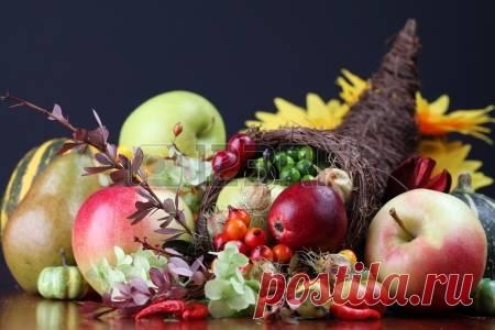 Советы на сентябрь 2017 год, от Дардо Кусто.