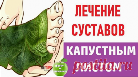 ЛЕЧЕНИЕ СУСТАВОВ КАПУСТНЫМ ЛИСТОМ
  
   С возрастом суставы начинают напоминать о себе периодическими болями, которые могут быть как ноющими, так и острыми. В народной медицине существует масса способов избавления от подобного недуга.

Рецепт ниже
      
Продолжение &gt;&gt;&gt; https://youtu.be/U-hOYJOjT90