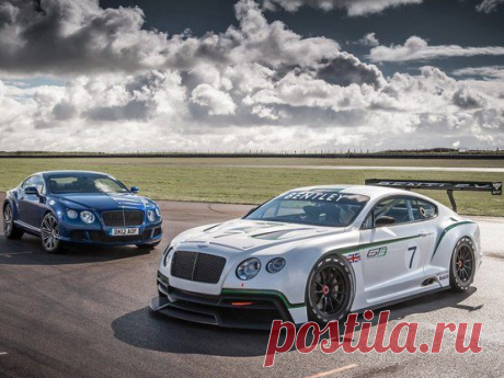 Bentley Continental GT3 / Только машины