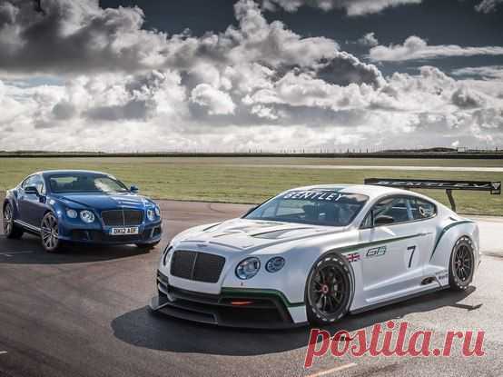 Bentley Continental GT3 / Только машины