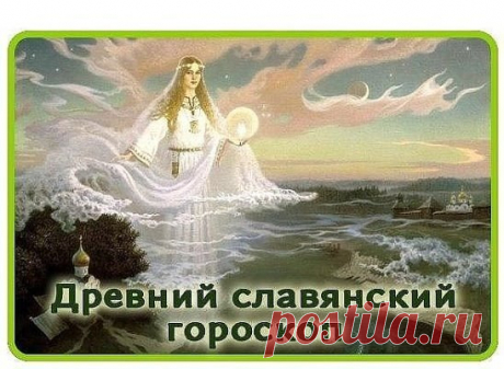 (3) Одноклассники