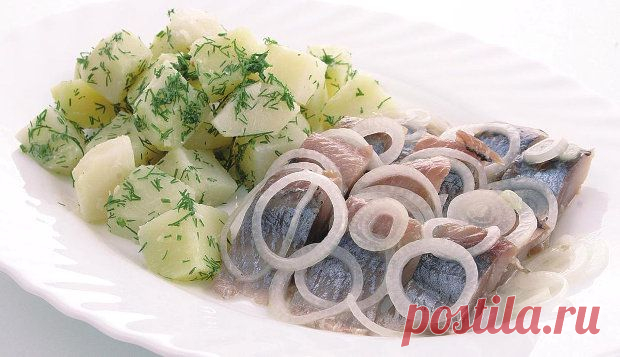 Оселедець — срібло моря - Кулинарные рецепты на Food.ua