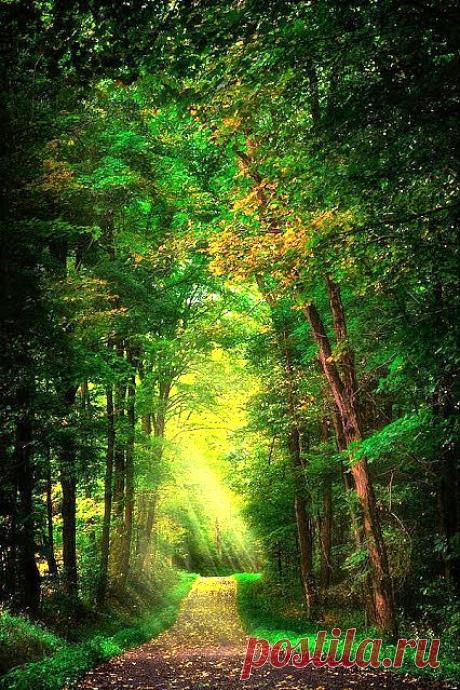 Лучшие фото – Пейзажи/Флора – Community – Google+