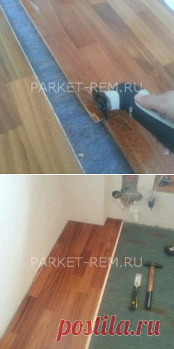 Циклевка паркета | Циклевка паркета