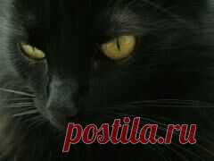 17 ноября отмечается 