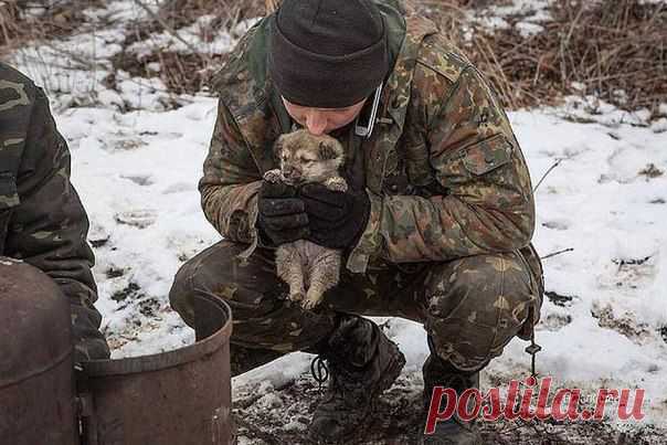 Мгновения войны 06.02