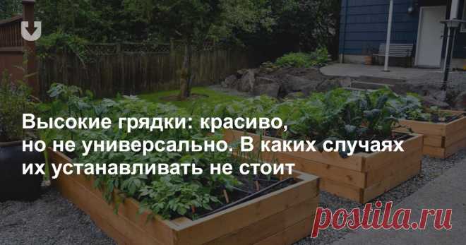 Высокие грядки: красиво, но не универсально. В каких случаях их устанавливать не стоит Эксперт рассказал о плюсах и минусах высоких грядок и особенностях работы с ними.