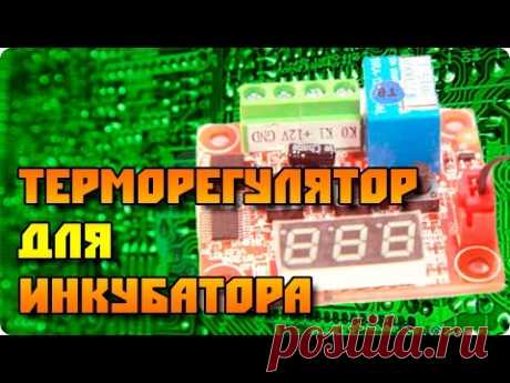 Терморегулятор для инкубаторов и не только! Тест и подключение.