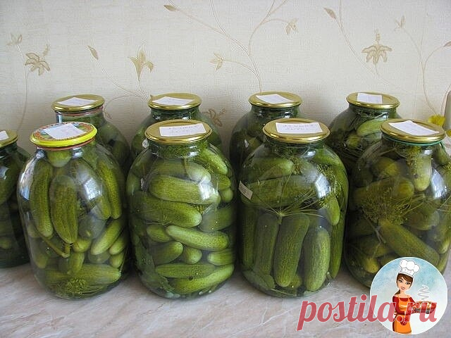 ОГУРЧИКИ 