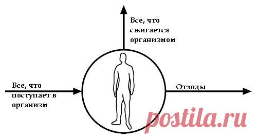 (+1) тема - Концепция воздушного шарика — новый способ похудеть | Диеты со всего света