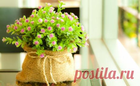 10 оригинальных идей по украшению домашних растений 
Цветы сами по себе способны украсить любое помещение. А если дополнительно декорировать горшки, вазы или другую емкость, в которую растения посажены, они могут стать главным акцентным пятном интерьер…