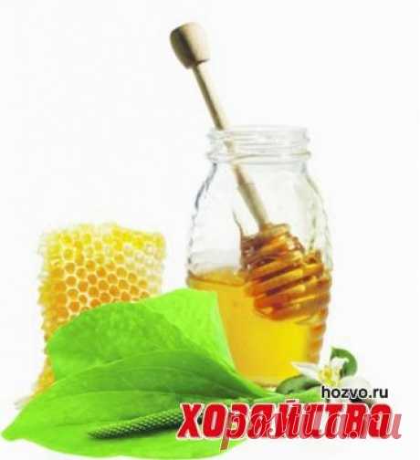 Подорожник и мед  при пониженной  кислотности желудка