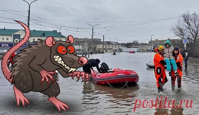 Потоп в Орске 2024: протесты, смехотворные компенсации и виноватые мыши. В прорыве дамбы стоимостью 1 млрд рублей обвинили грызунов | Пульс Политики | Дзен