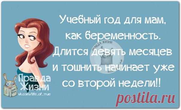 Прикольные фразочки в картинках | ВЗГЛЯНИ НА МИР С ИНТЕРЕСОМ
