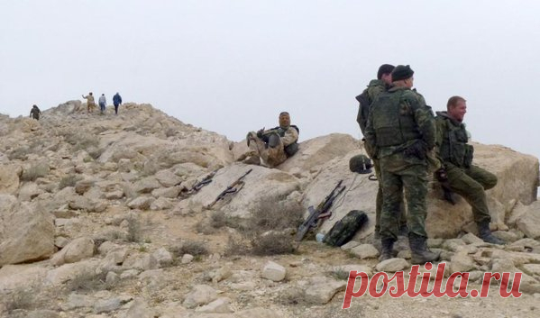 Боевые действия в Сирии
Советники под Тадмором