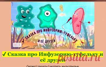 Жила-была маленькая Инфузория-туфелька. Она была не как все другие микроорганизмы — её дом был в форме туфельки, и она плавала в воде, радостно скользя по ней...