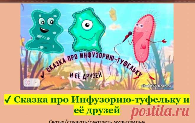 Жила-была маленькая Инфузория-туфелька. Она была не как все другие микроорганизмы — её дом был в форме туфельки, и она плавала в воде, радостно скользя по ней...