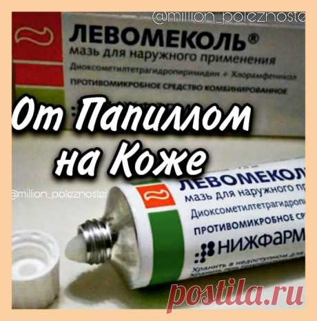  Левοʍеĸοʌь οт папиʌʌοʍ