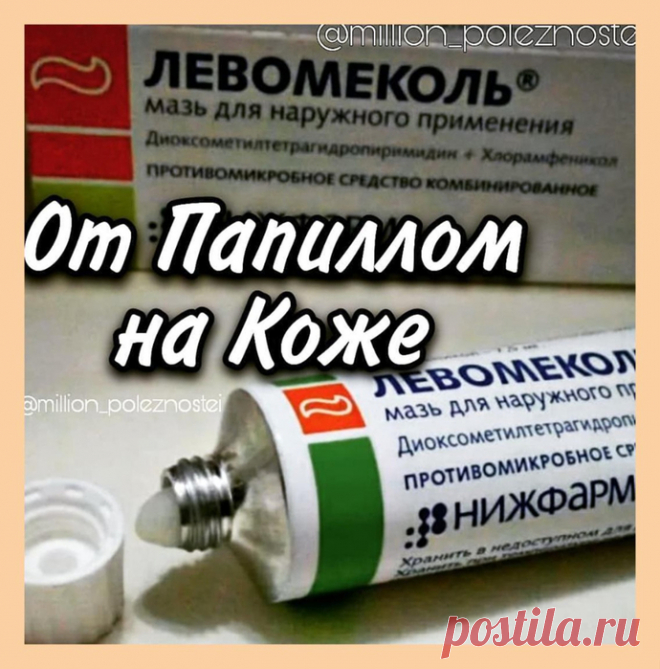  Левοʍеĸοʌь οт папиʌʌοʍ