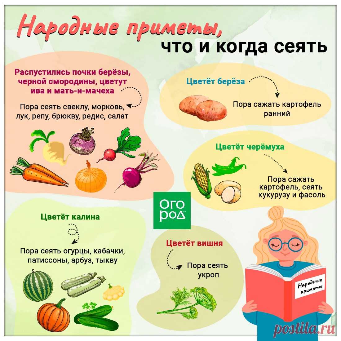 Народные приметы, что и когда сеять