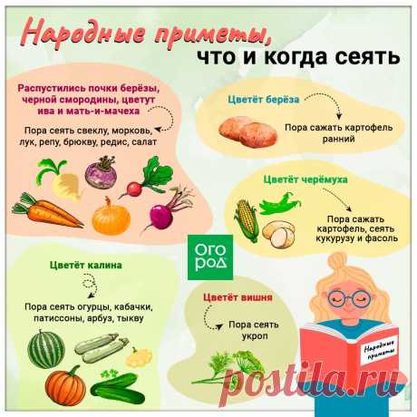 Народные приметы, что и когда сеять