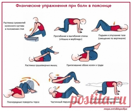 Упражнения при боли в пояснице