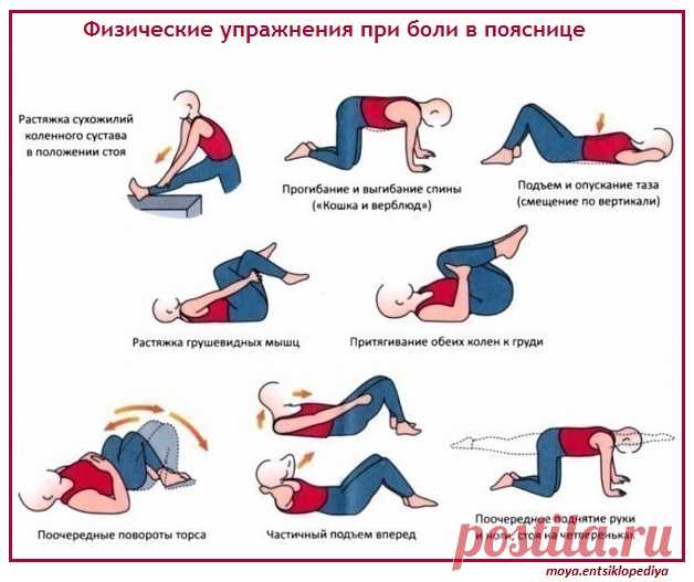 Упражнения при боли в пояснице
