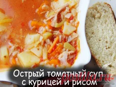 Острый томатный суп с курицей и рисом - Вкусные рецепты от Мир Всезнайки