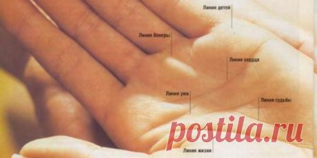 Линия жизни на руке: определяем, сколько лет человек будет жить - allWomens