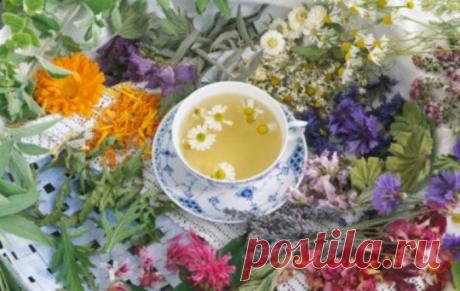 Каждому семени - свой срок.... | Познавательный сайт ,,1000 мелочей&quot;