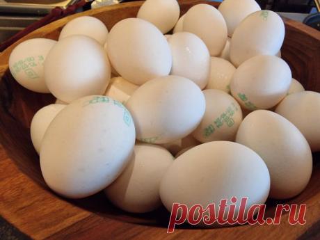 Зачем закапывать яйцо в лунку при посадке: старинный трюк для богатого урожая. Метод закапывания яйца в лунку при посадке рассады или картофеля вызывает споры среди огородников, но продолжает использоваться.