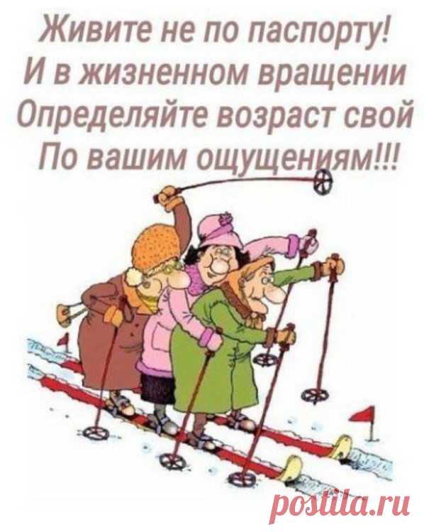 живите ощущениями - Поиск в Google