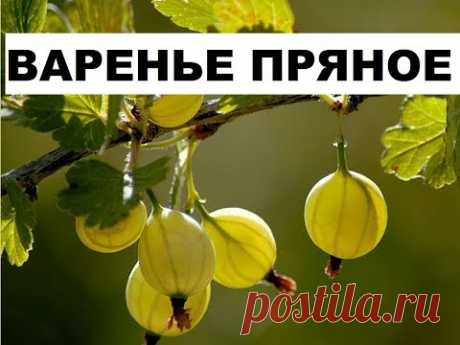 Варенье Из Крыжовника С Пряностями. Как Сохранить Цельность Крыжовника При Варке