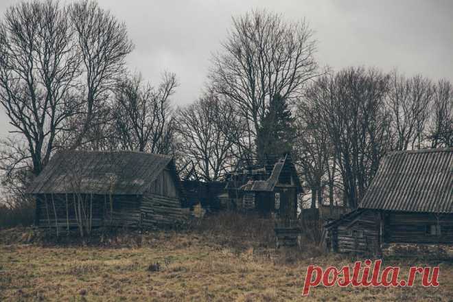 Заброшенный хутор
Я живу в Астраханской области в селе К., которое расположено где-то рядом с границей Казахстана. Село небольшое, но и не очень маленькое. Через речку, вдоль которой расположено село, находятся пастбища и загоны. Дальше, где-то через полтора километра, стоят около десяти старых деревянных домов — это место раньше было хутором Н., оно заброшено где-то с восьмидесятых […]
Читай пост далее на сайте. Жми ⏫ссылку выше