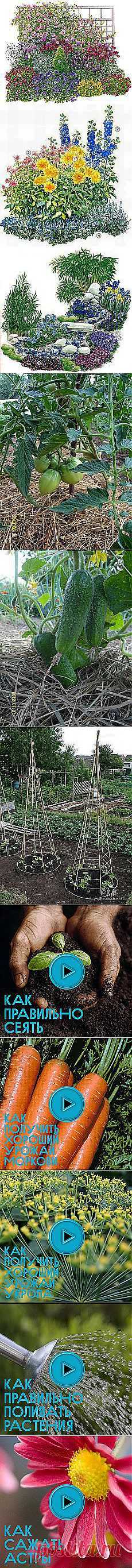 Galina Neva: Дачные идеи | Постила.ru