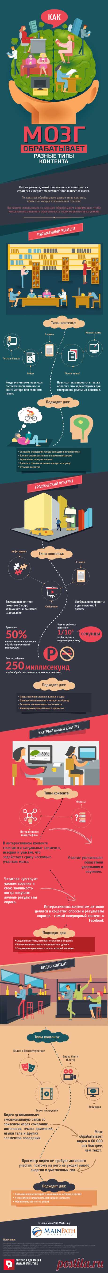 Как мозг обрабатывает разные типы контента. Инфографика - Rusability