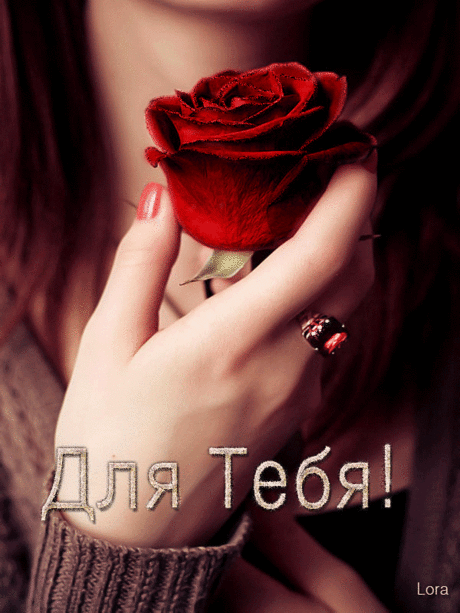Роза для тебя - Цветы - Открытки для поздравления