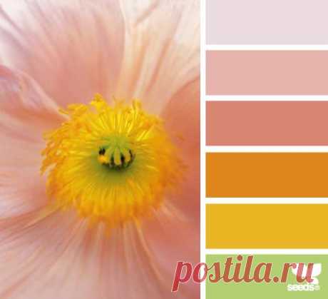 Design Seeds® | find your palette