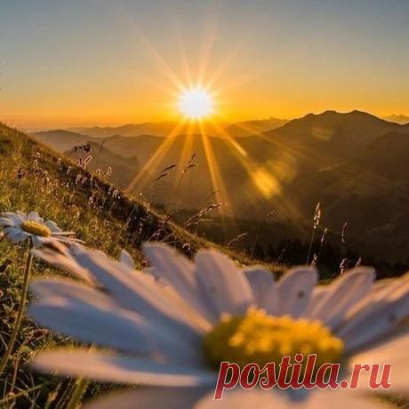 Я рисую новый день в лучах рассвета,
Доброту, любовь и радужное лето
В мыслях нужно навести порядок срочно
И тогда счастливей люди станут точно