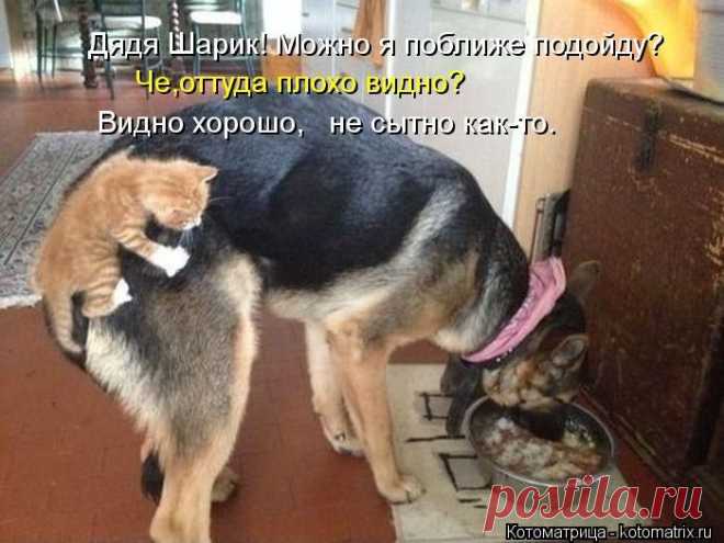 МНЕ ТО ОСТАВЬ...
