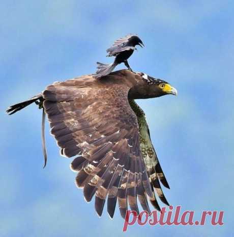 25 фотографий, сделанных в «тот самый» момент