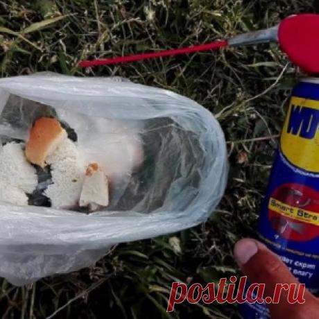 Как ловить карасей на керосин - МирТесен